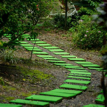 Selva Color - Forest & Beach Ecolodge Quebrada Ganado Exterior foto