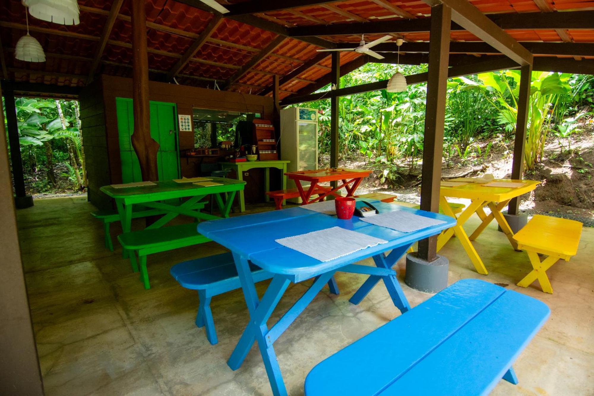 Selva Color - Forest & Beach Ecolodge Quebrada Ganado Exterior foto