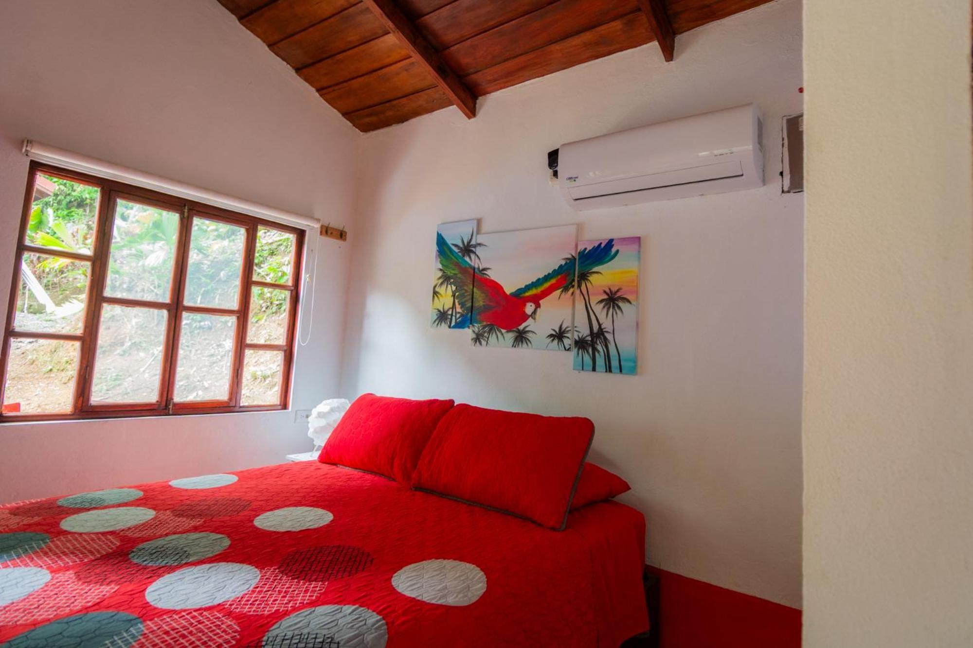 Selva Color - Forest & Beach Ecolodge Quebrada Ganado Zimmer foto