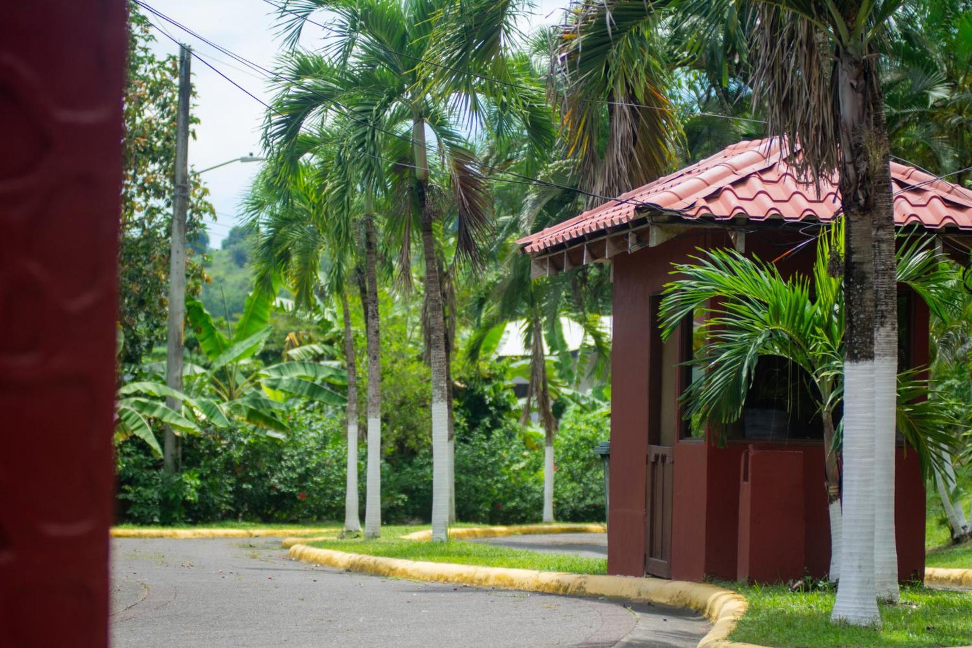 Selva Color - Forest & Beach Ecolodge Quebrada Ganado Exterior foto