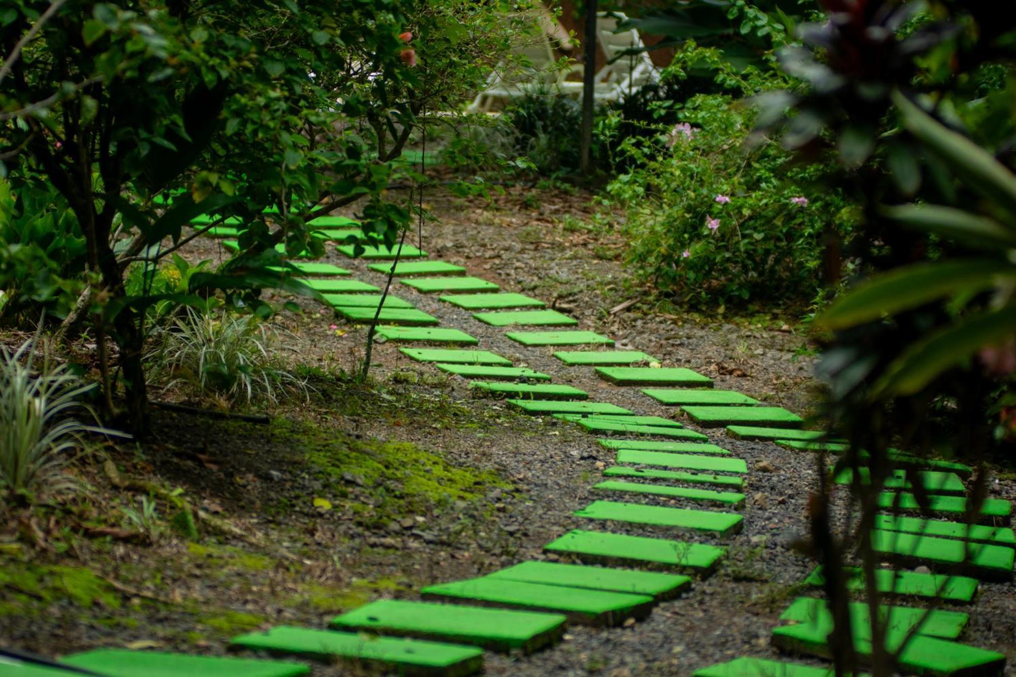 Selva Color - Forest & Beach Ecolodge Quebrada Ganado Exterior foto