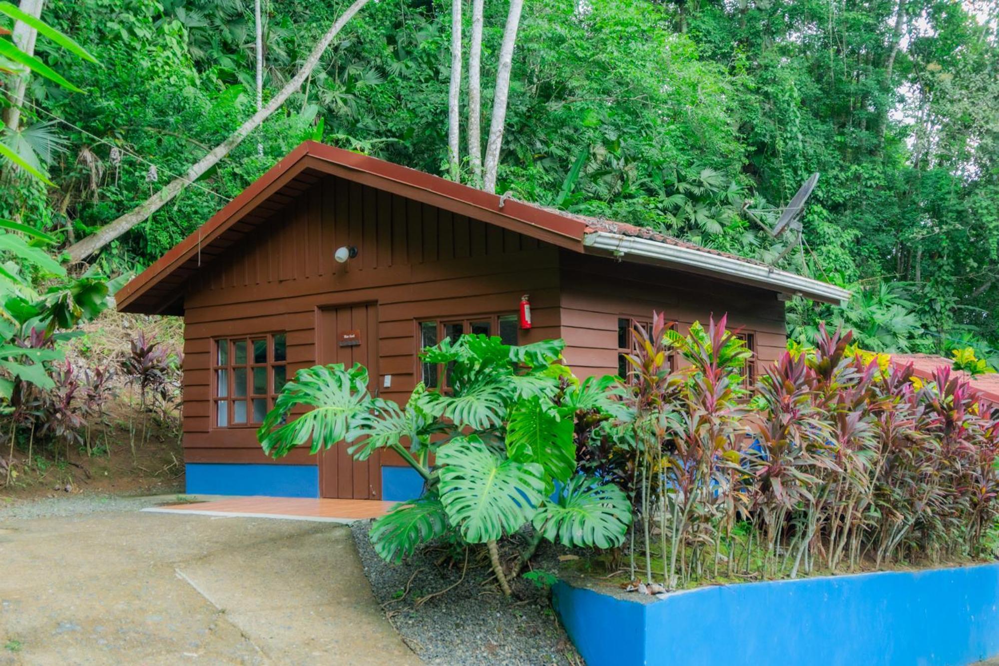 Selva Color - Forest & Beach Ecolodge Quebrada Ganado Exterior foto