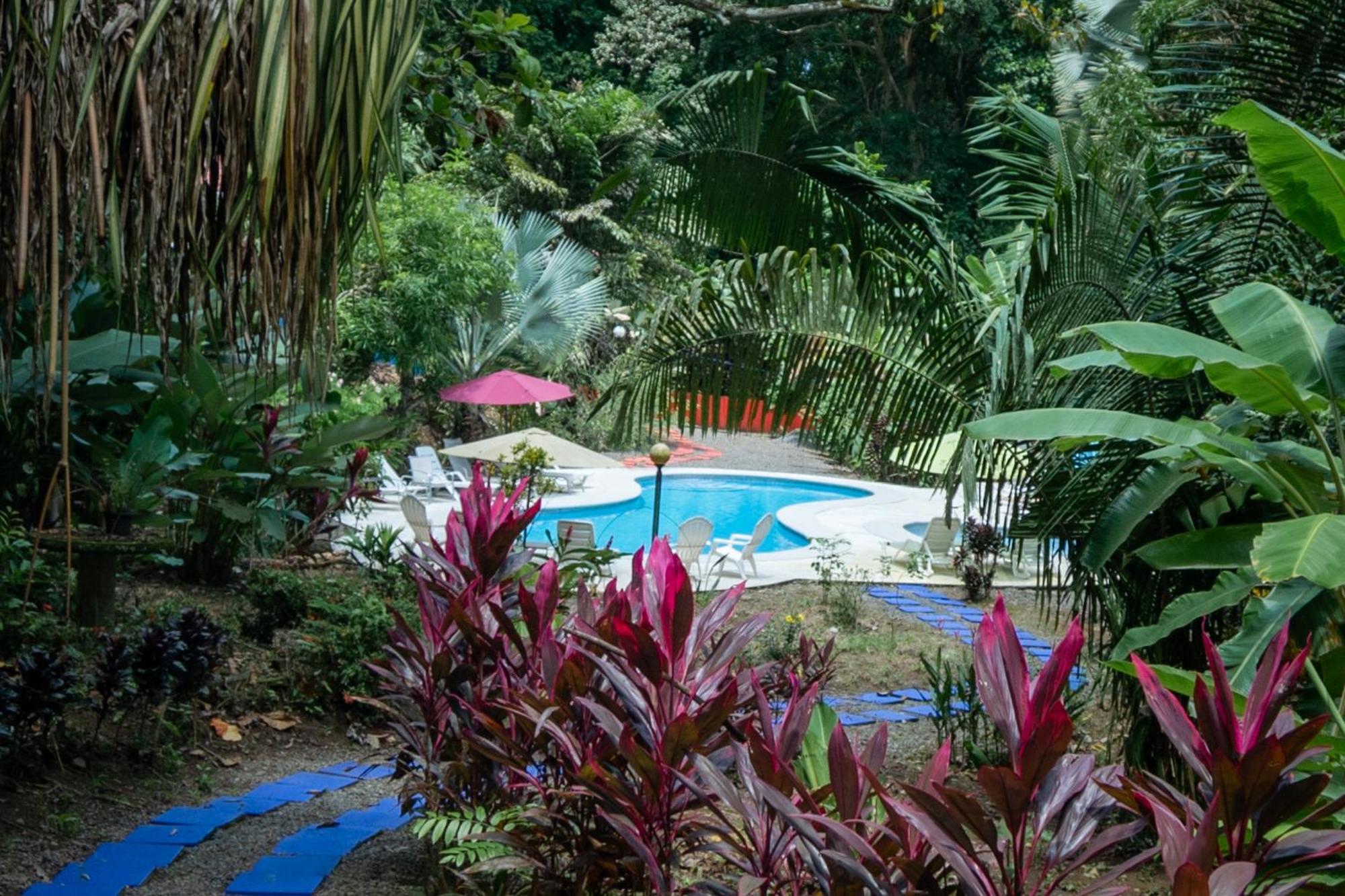Selva Color - Forest & Beach Ecolodge Quebrada Ganado Exterior foto