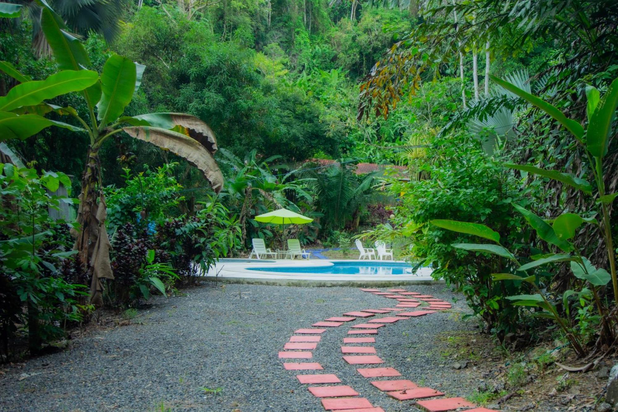 Selva Color - Forest & Beach Ecolodge Quebrada Ganado Exterior foto