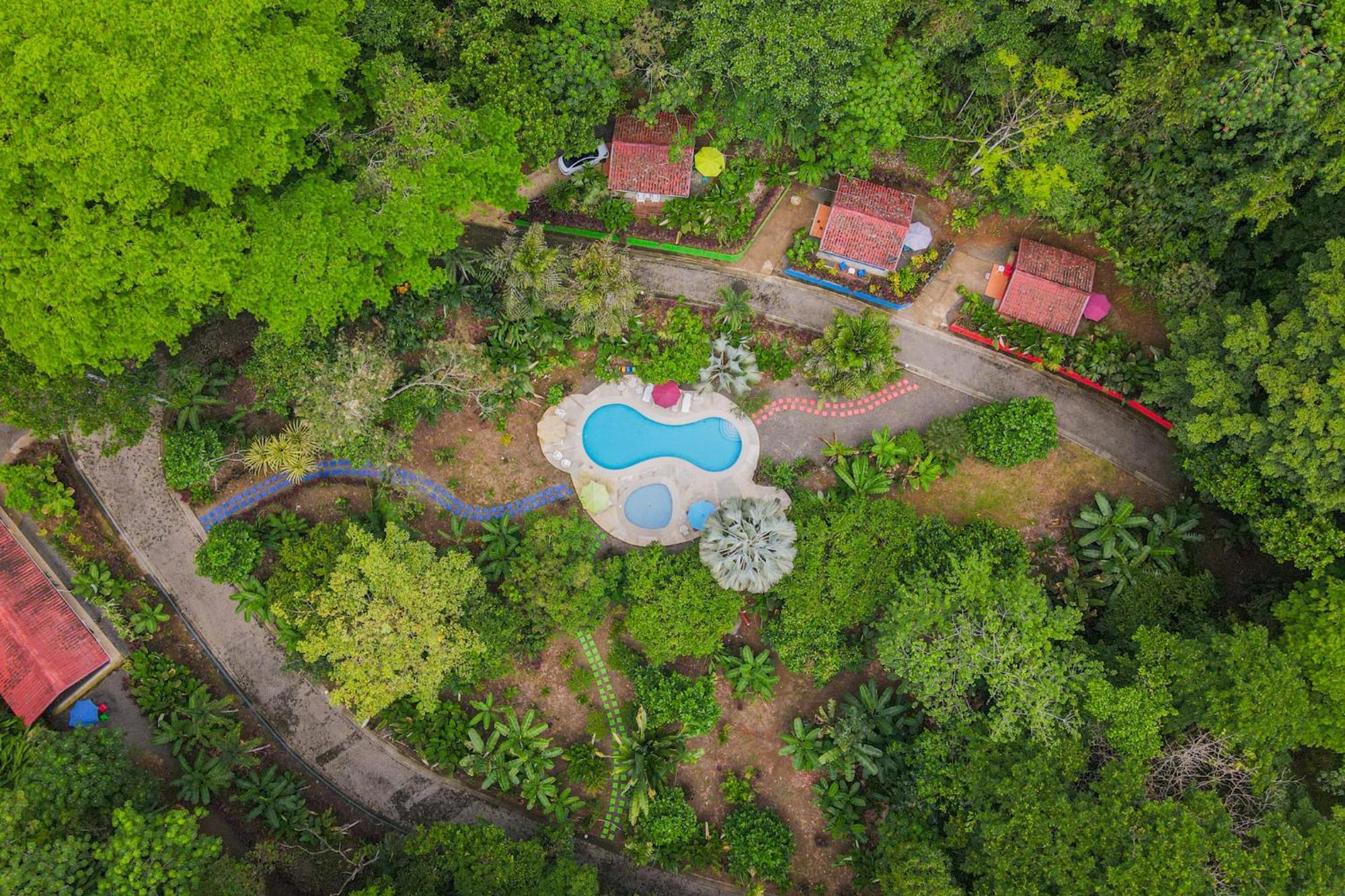 Selva Color - Forest & Beach Ecolodge Quebrada Ganado Exterior foto