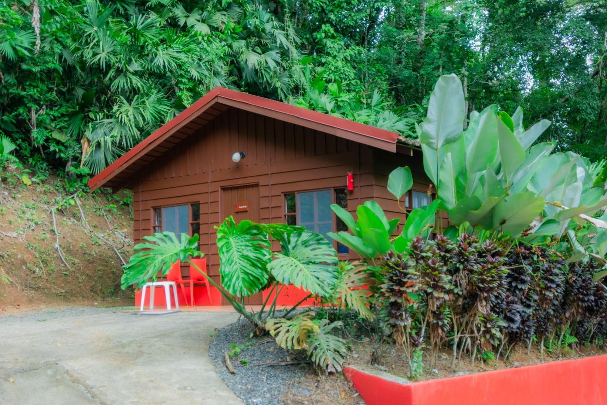 Selva Color - Forest & Beach Ecolodge Quebrada Ganado Exterior foto