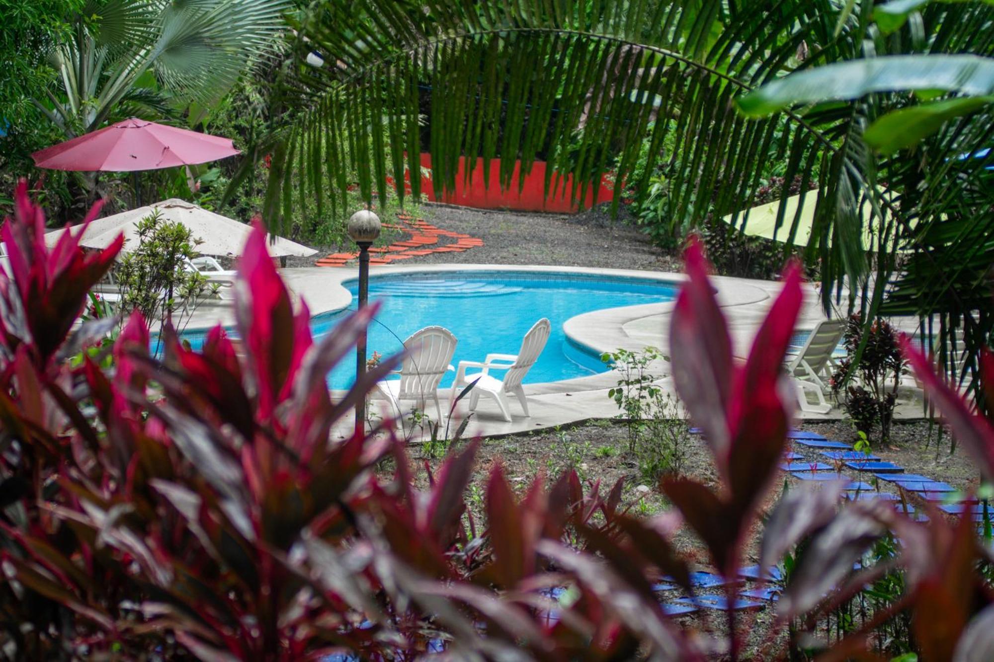 Selva Color - Forest & Beach Ecolodge Quebrada Ganado Exterior foto