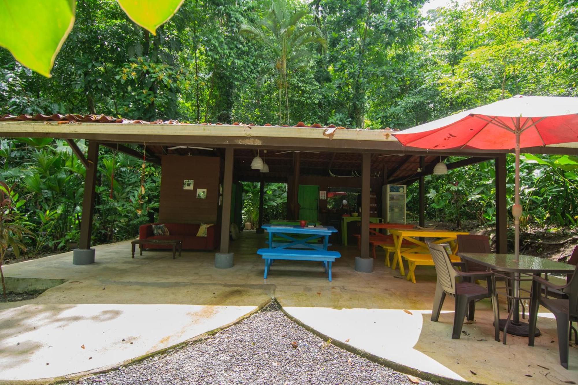 Selva Color - Forest & Beach Ecolodge Quebrada Ganado Exterior foto